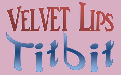 VL Titbit logo